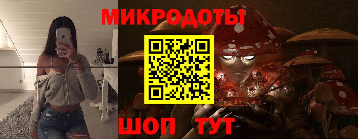 Псилоцибиновые грибы мицелий Рубцовск